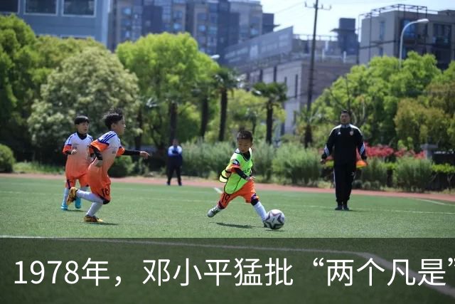 1978年，邓小平猛批“两个凡是”：若毛主席在世，也肯定不能同意